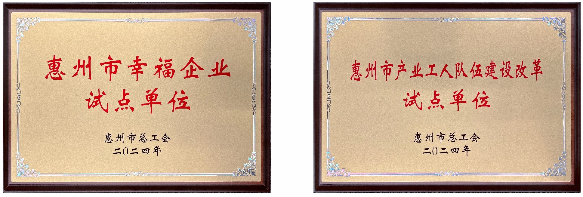 1745225234.jpg A.jpg